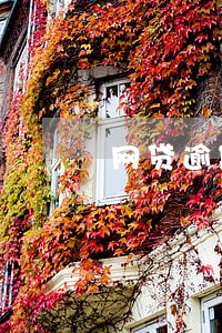 网贷逾期上征信 坐飞机 网贷逾期上征信 坐飞机